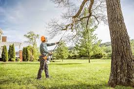 How Our Tree Care Process Works  in  Duson, LA